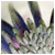 737.gif